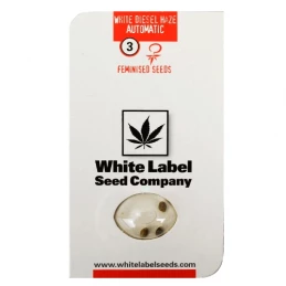 White Diesel Haze Automatizované (3 semienka) White Label