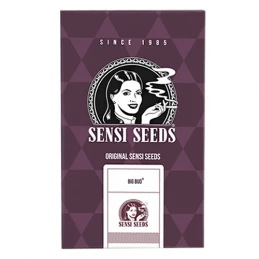 Konopné semená Sensi Seeds Big Bud Feminized - balenie