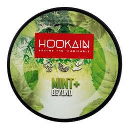 Kamienky do vodnej fajky Hookain 100g príchuť Mint+