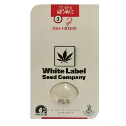 O.G. Kush Automatic (3 semienka) - Konopné semená White Label Seed Company