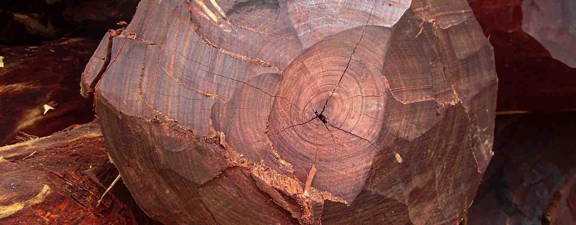 Nespracovaný kus palisandrového dreva
