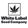 Brand: White Label Seed Company (Sensi Seeds)