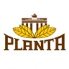 Planta Berlin