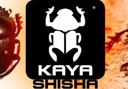 Vodné fajky Kaya Shisha – zvodné krásky z Brém sú hitom tohto leta!