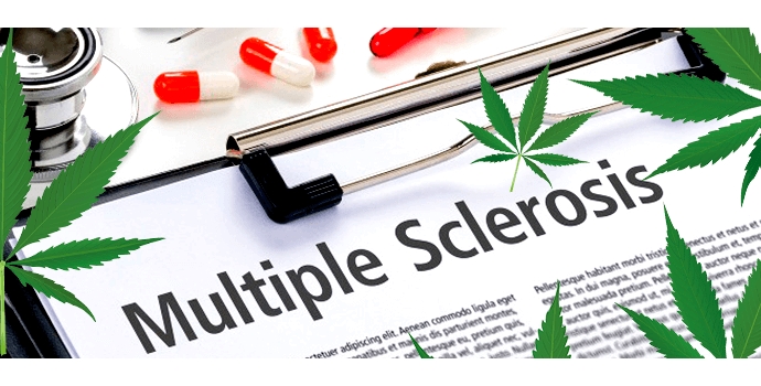 Lekárska marihuana a liečba Sklerózy Multiplex
