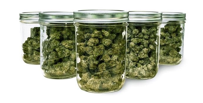 10 Najlepších nápadov na uskladnenie Marihuany